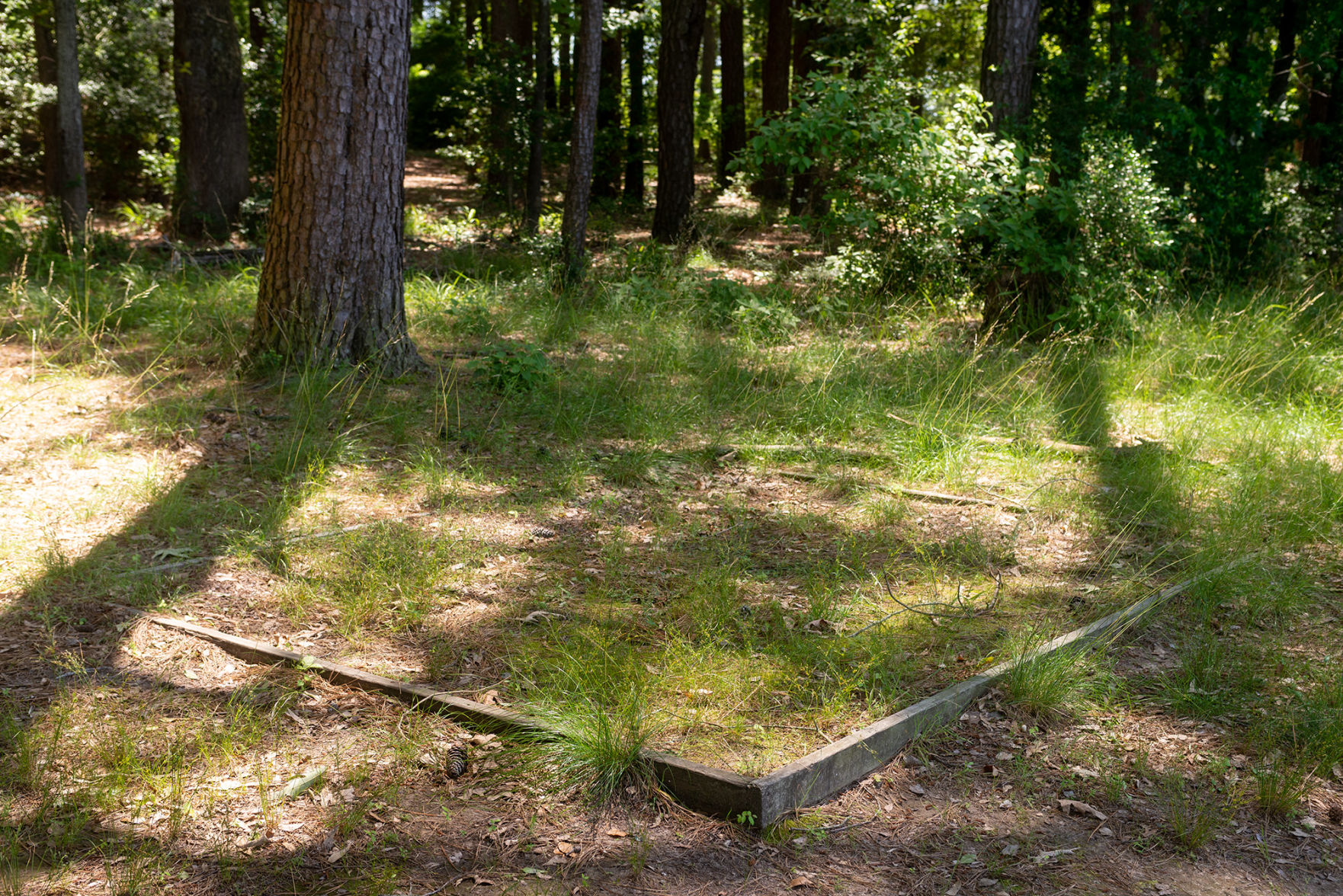 Martin Creek Lake State Park